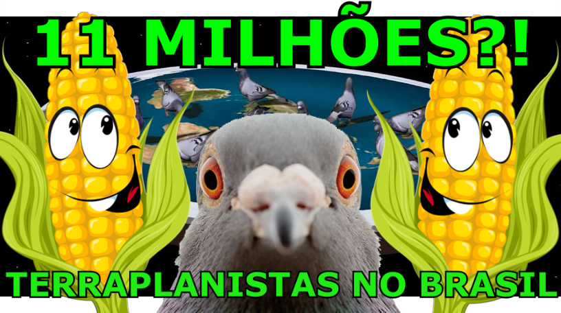 11 Milhões de Pombos no Brasil?!