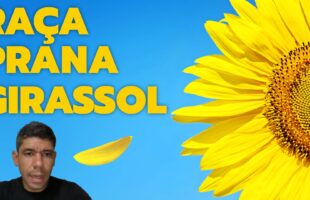 Raça Prana – Girassol (Clipe Oficial)